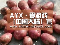 产品展示标题5