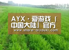 种植基地四