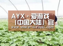 种植基地三