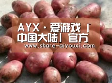 产品展示标题5(图1)