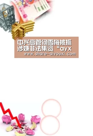 中兴高管何雪梅被抓涉嫌非法集资“ayx体育”(图2) AYX SPORTS