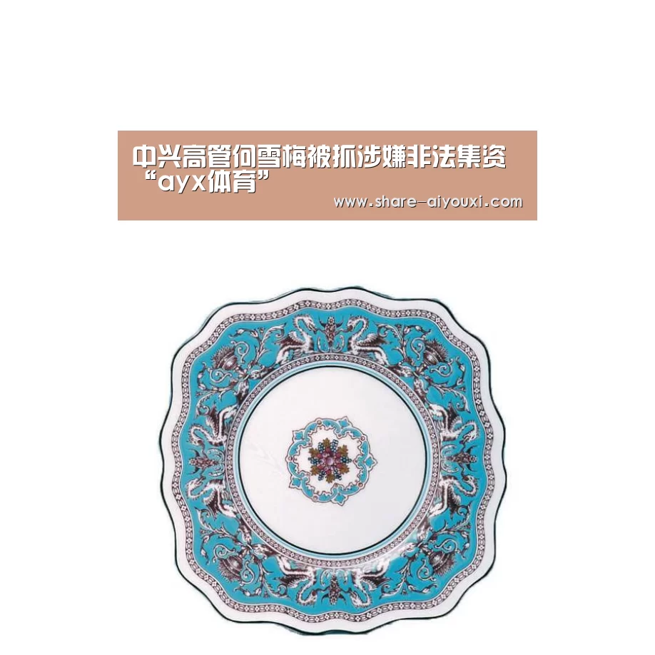 中兴高管何雪梅被抓涉嫌非法集资“ayx体育”(图1) 中兴高管何雪梅被抓涉嫌非法集资“ayx体育”(图1)