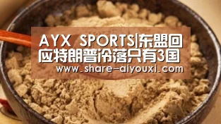 AYX·爱游戏