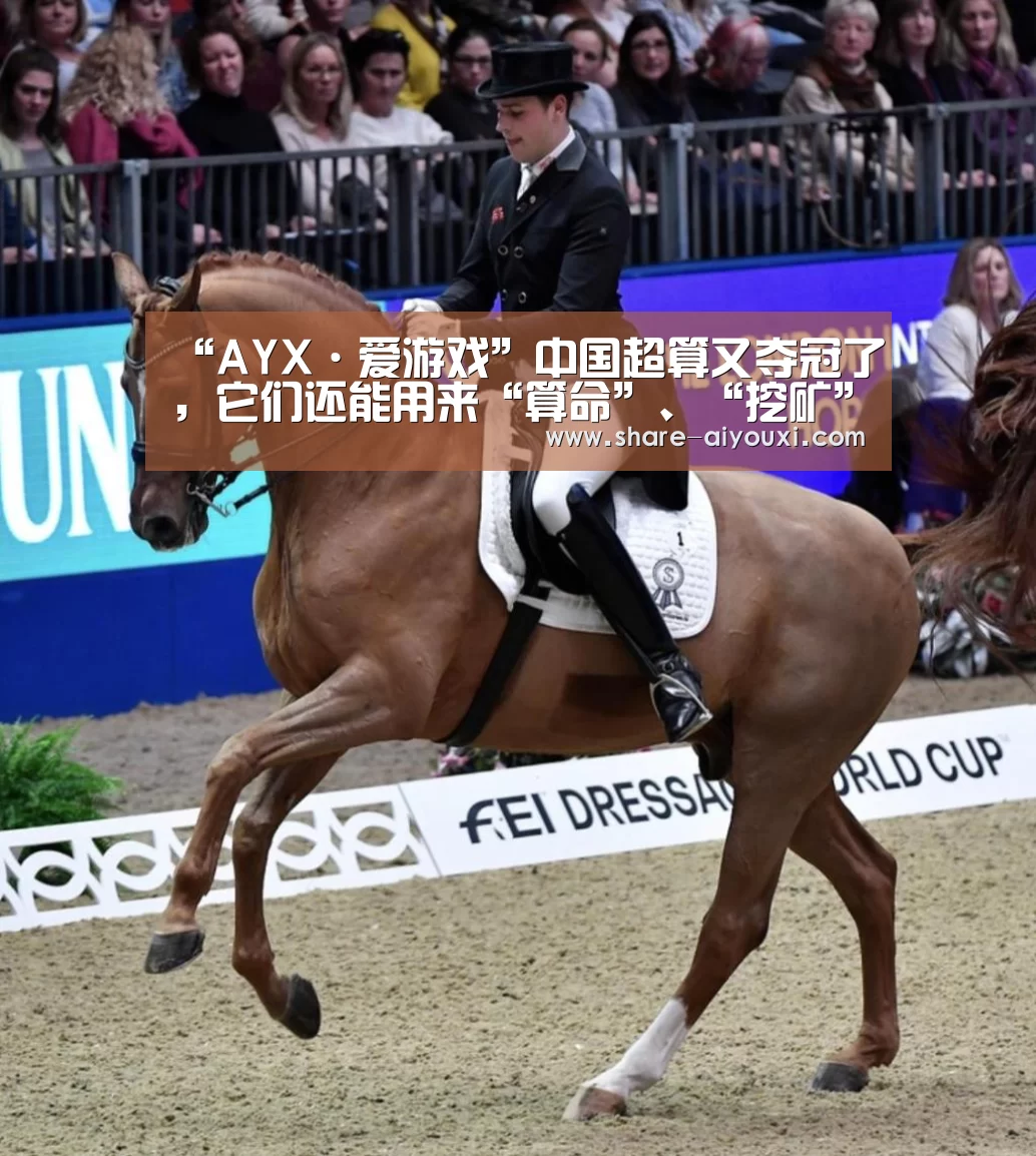 “AYX·爱游戏”中国超算又夺冠了,它们还能用来“算命”、“挖矿”?(图1) AYX·爱游戏