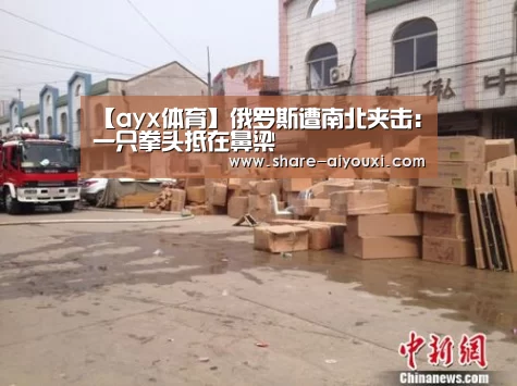 AYX·爱游戏