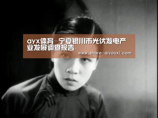 ayx体育-宁夏银川市光伏发电产业发展调查报告(图3) AYX SPORTS